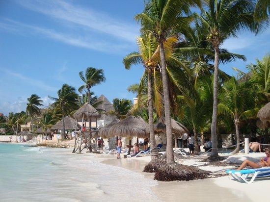 Dolphin Discovery Riviera Maya